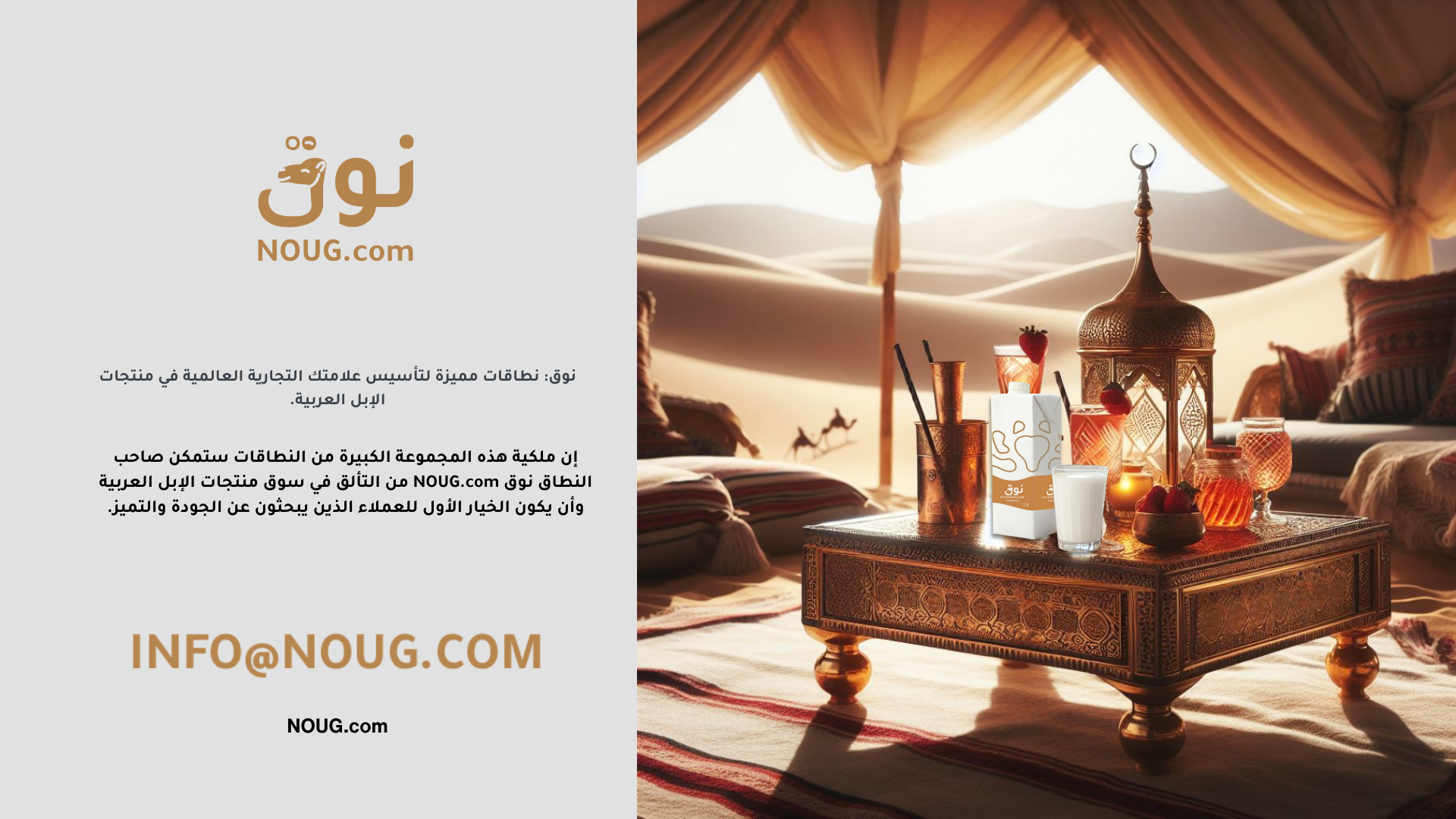 مقالاتنا نوق NOUG 49 شركة نوق NOUG - نوق -حليب نوق - منتجات نوق - نطاق نوق