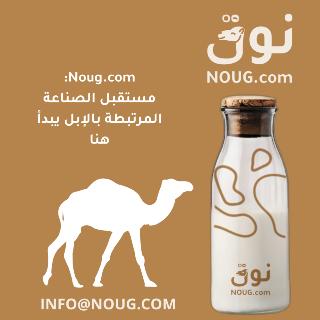 نوق – NOUG – شركة نوق – منتجات نوق – حليب نوق – نطاق نوق نوق – NOUG – شركة نوق – منتجات نوق – حليب نوق – نطاق نوق